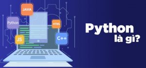 Python là gì? Tại sao nên lập trình web với python?