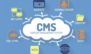 hệ thống quản lý nội dung cms