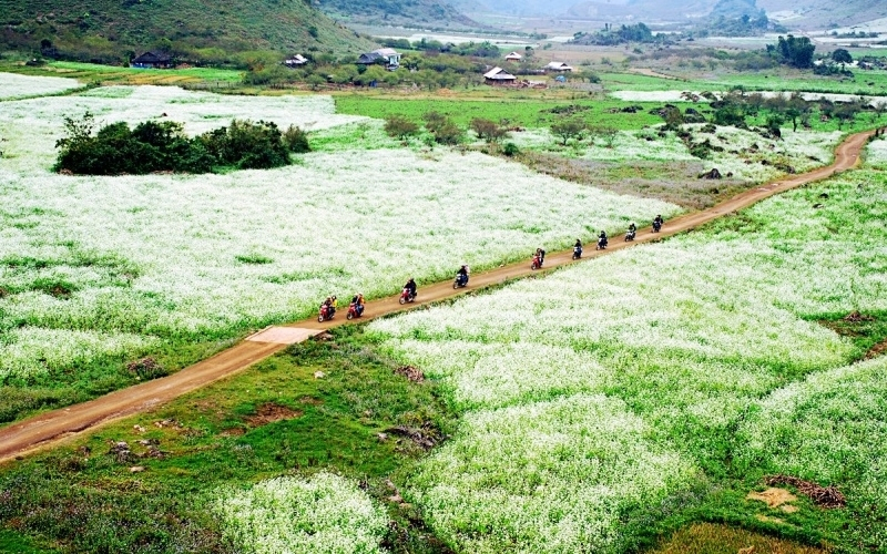 Các điểm phượt miền Bắc - Lào Cai